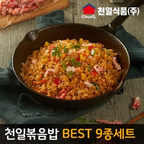 [천일냉동] 천일볶음밥 BEST 9종 세트, 1개