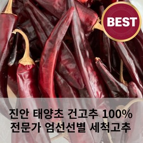 진안 태양초 고추 100% 깨끗한 최상급 건고추 마른고추 1근 600g 세척완료 세척고추 전문가엄선선별