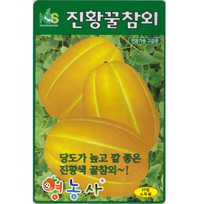 진황꿀 참외 씨앗 10립 당도 높은 참외씨 종자 키우기