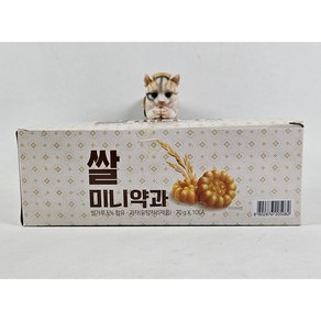 동화 쌀로만든 미니약과 70g x 10개