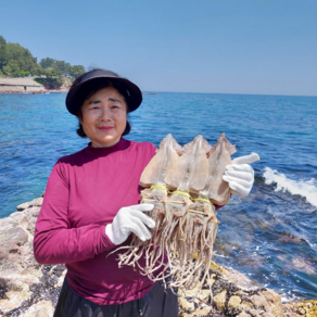 오징어엄마 원양산 마른오징어 건오징어 건조오징어, 1개, 마른 [소] 5마리 250g