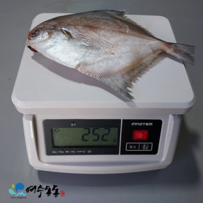 손질 여수 대병어 250g 이상 / 26cm 3마리 100%국내산 와사비 믹스 간장 증정, 1개