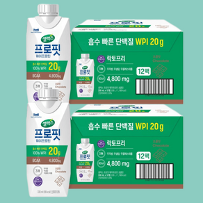 셀렉스스포츠 프로핏 웨이프로틴 드링크 초코 초콜릿맛 330ml 1박스 12개+12개, 24개