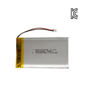 DTP [리튬폴리머] 104065 3.7V 3000mAh