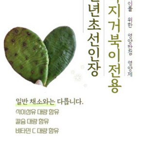 천년초 선인장 400g / 육지거북이 전용 사료 / 육지거북사료 / 육지거북영양제 / 칼슘 식이섬유 비타민 대량 함유, 1개