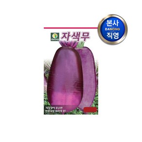 다농 자색무 씨앗 100p, 1개