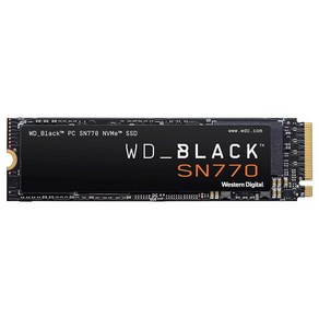 WDS200T3X0E [WD_BLACK SN770 NVMe SSD(2TB M.2(2280) PCIe Gen4 NVMe 1200TBW 5년 보증)], ., 1) 250GB - 게이밍 PC용 M.2 228