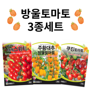 방울토마토 씨앗 3종 세트 / 주황 빨강 쿠킹 대추 방울 토마토 종자 씨, 1개