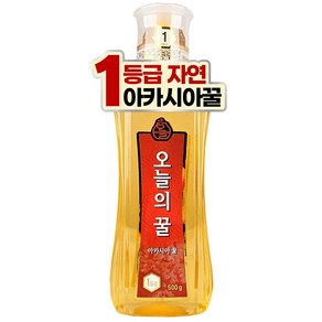 오늘의 꿀 아카시아꿀, 500g, 1개