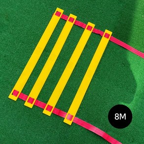 스텝레더 축구 트레이닝 스피드사다리, 1개