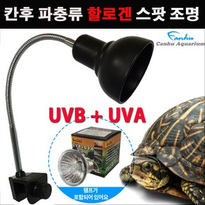 칸후 거북이 할로겐 조명 소켓 /파충류 UVA UVB 램프 스팟등 히팅 히터 일광욕 등껍질 수족관 어항 전구, 화이트, 1개