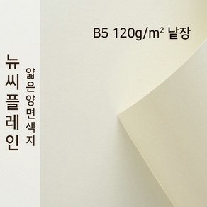 뉴씨플레인 종이문화 얇은 양면색지 120g B5 낱장 1매 No.51 백색, 1장