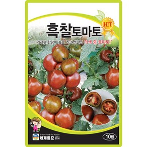 세계종묘 흑찰토마토 씨앗 10립, 50.흑찰토마토 10립, 1개