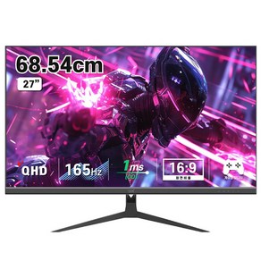 디엑스 69cm QHD 165Hz 게이밍 컴퓨터 모니터 DX270QHD165