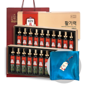 정관장 활기력 20병 400ml 정품 쇼핑백 선물세트 (포장용 보자기 원단 포함)