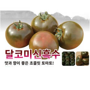 토마토씨앗종자 / 달코미신흑수토마토(10립), 1개