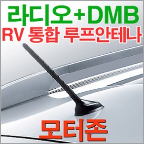 순정형 DMB+라디오 통합안테나 RV/SUV 순정형 루프 안테나, 순정형 RV안테나 - 현대/기아