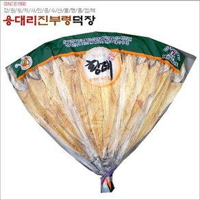 황태포10미(44~46cm), 1개