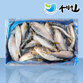 냉동 전어 구이용 국산 생선구이, 1박스, 10kg