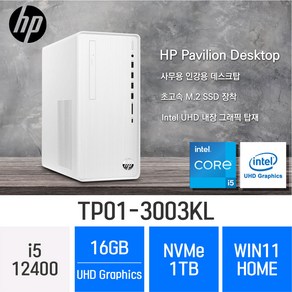 [당일출고] HP 파빌리온 TP01-3003kl - 사무용 업무용 가성비 데스크탑 컴퓨터, 16GB, WIN11 Home, 1TB