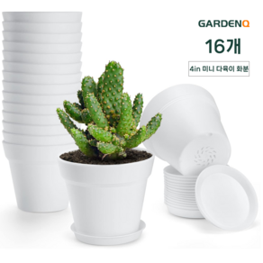 GARDENQ 플라스틱 국제 스탠다드 화분 예쁜 다육이식물 화분세트 다육이화분 플라스틱 화분 10cm 16p 작은 미니 화분/15.5cm 10p 중형 화분+ 트레이, 16개, 화이트