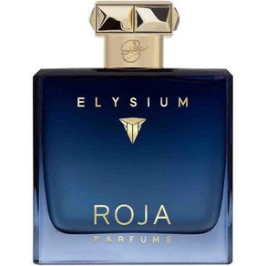 Roja Homme Elysium Pafums 100ml 정품 포함, 1개