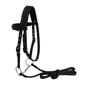 Youzi pp 말 고삐 headstall lt5000 20mm pp 웨빙 야외 승마 훈련을위한 두꺼운 홀터 승마 장비, 블랙 엘, 블랙 엘, 1개