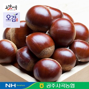 전대표 농협선별 공주 밤 옥광밤 / 고맛나루, 2kg, 1박스