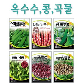 완두콩 씨앗 스파클 콩 종자 씨 40g, 1. 스파클완두콩 40g, 1개