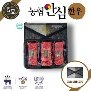 농협안심한우 1등급 소고기 선물세트 1kg 등심 안심 채끝 구이세트, 1개