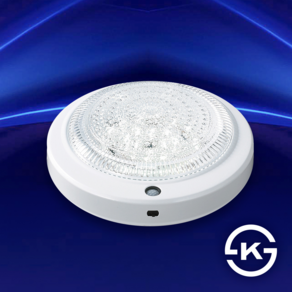 국산 현관 LED 센서등 15W KS인증, 1개, 주광색