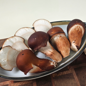 [하진이네] 산지직송 무농약 GAP 참송이버섯, 1개, 못난이 500g