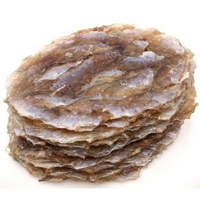 건어물광장 두꺼운쥐포 500g, 두꺼운쥐포 500g 1개, 1개