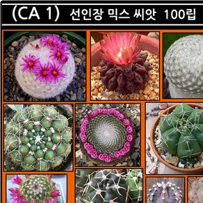 리톱스 나라 씨앗, (CA 1)선인장 믹스 씨앗 100립, 1개