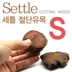 세틀 [옵션선택] 절단유목 활착유목 어항장식 절단나무 수초장식 자연유목, 1개