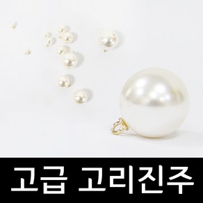 고리진주 (5개입)