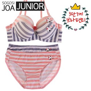 소고시조아 주니어 J2006 학생 브라팬티세트 3단계