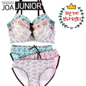소고시조아 주니어 J2004 학생 브라팬티세트 3단계