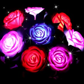 티앤씨몰 [LED 야광용품] 로멘틱 LED 장미