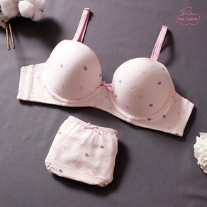 PINKGURUM 3단계 A컵 몰드 와이어 속옷세트 PKGB-1365