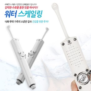 정안인터내셔날 워터스케일링 구강세정기, LB100