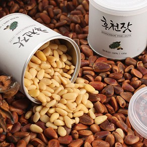 맛꾼 잣의 명품 강원도 홍천 잣, 1박스, 황잣 10캔 (캔당 100g)