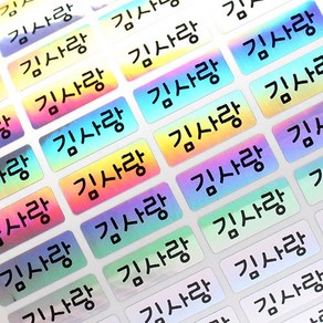두루디자인 방수 네임스티커 심플형, 심플_홀로그램 소형 3+3장