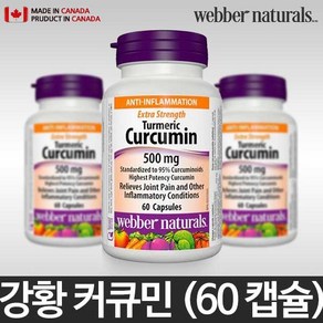 webbe natuals 캐나다 터메릭 커큐민 강황 울금 500mg 60캡슐, 1개, 60정
