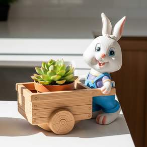 선인장 소형 화분 실내