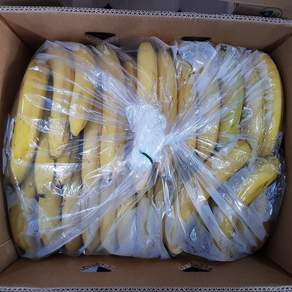 고당도 낱발 바나나 13kg, 1개