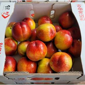 경북 산지직송 딱딱이 말랑이 천도복숭아 신비복숭아, 1개, 천도복숭아 2kg(18-22개) 중대과