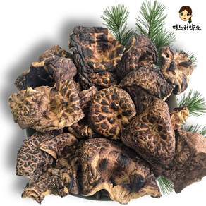며느리약초 자연산 능이버섯 A급 (특품) 건조 100g, 1개, 100g(1개)