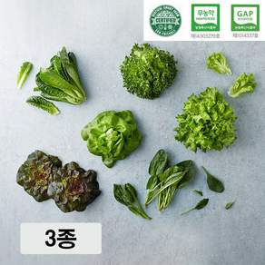 외강내유 무농약 GAP인증 유러피안 샐러드 채소 쌈채소 3종(프릴아이스 카이피라 미니로메인), 1개, 1kg