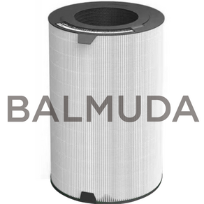 [공식정품]발뮤다 필터 H13헤파 공기청정기 필터 BALMUDA EJT-S230 EJT-1100SD (당일출발), 1개, EJT-S230/1100SD